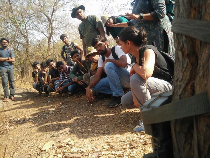 a. and b. Training sessions for volunteers and forest staff in Sanjay Gandhi National Park c. and d. GPS instruments used by the volunteers, and scat samples collected by them. e. and f. Camera trap images collected by volunteers showing a leopard in day time, and a rusty-spotted cat at night.
