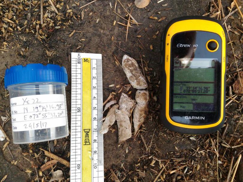 Scat samples collected by volunteers during the study.
