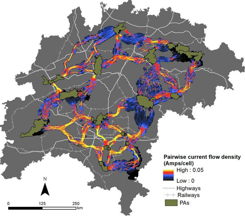 A map of central India, showing a network of possible wildlife corridors to promote tiger conservation.
